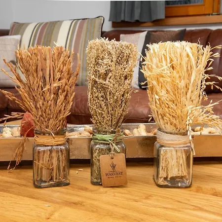 Rachel Basecamp Appartement